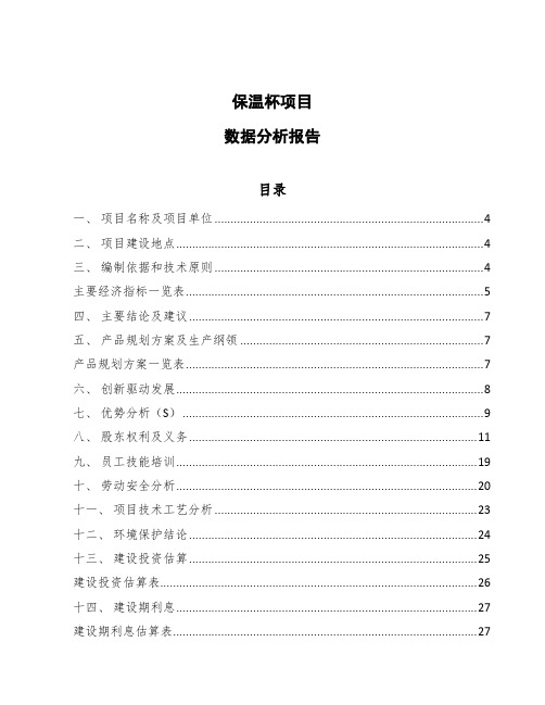 保温杯项目数据分析报告