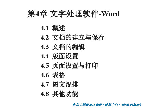 大学计算机基础第4章--Word