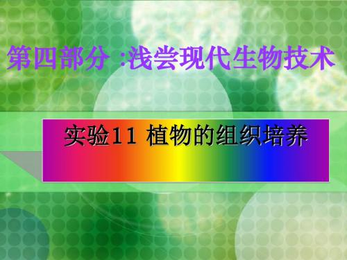 植物的组织培养ppt 浙教版
