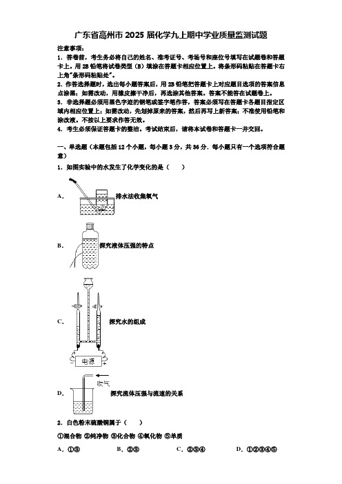 广东省高州市2025届化学九上期中学业质量监测试题含解析