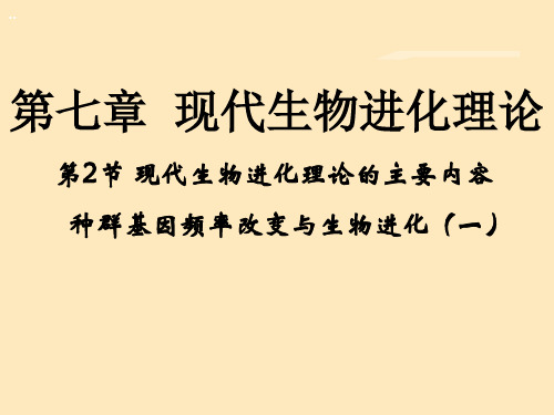 现代生物进化理论的主要内容课件PPT