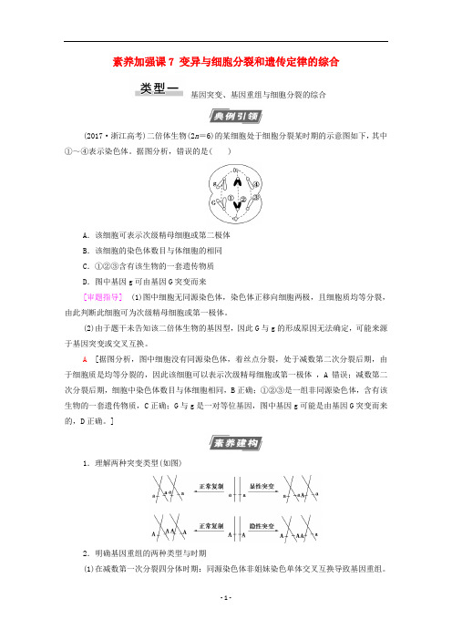 高考生物一轮复习 第7单元素养加强课7 变异与细胞分裂和遗传定律的综合教学案 新人教版必修2