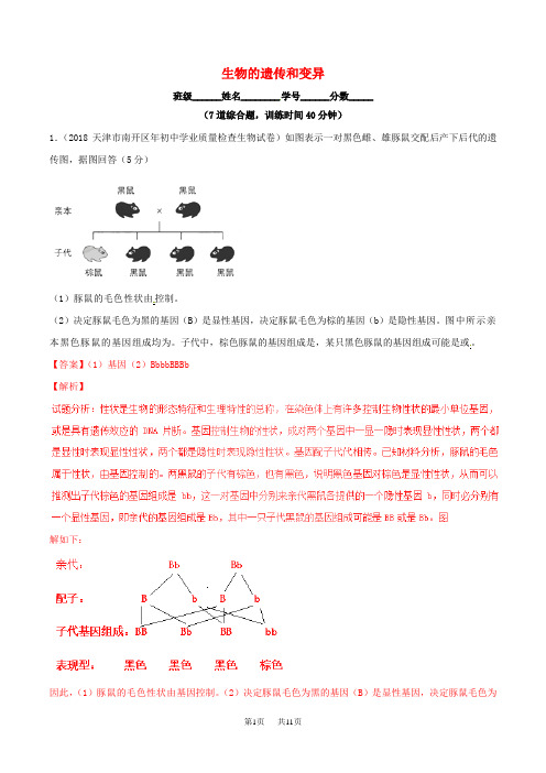 中考生物大题狂做系列 专题11 生物的遗传和变异(含解析)