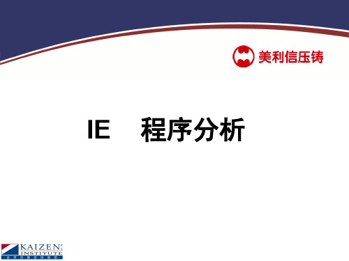 IE-程序分析