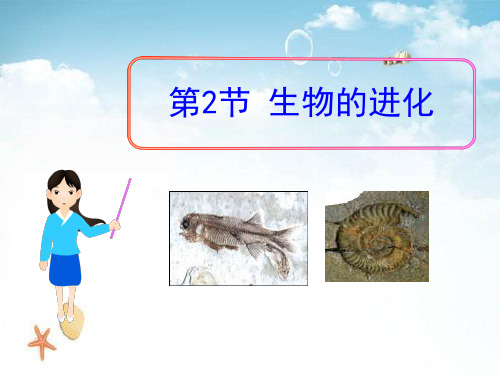 《生物的进化》 精选优质课件