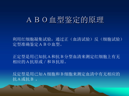 ABO血型的鉴定方法