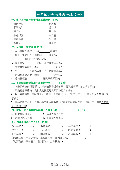 小升初每天一练(20篇)