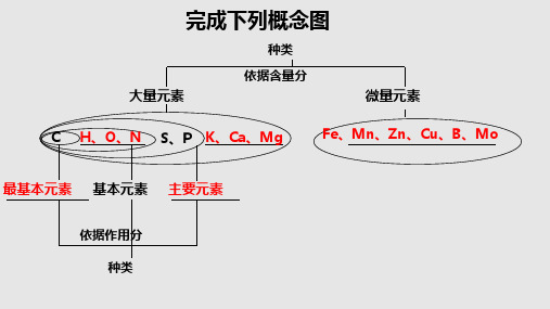 组成细胞的元素和无机物PPT课件