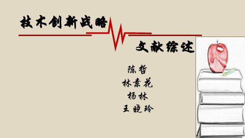 技术创新战略 文献综述 演讲报告