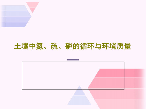 土壤中氮、硫、磷的循环与环境质量68页PPT