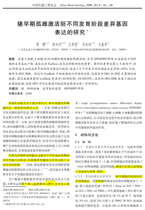 2008猪早期孤雌激活胚不同发育阶段差异基因2