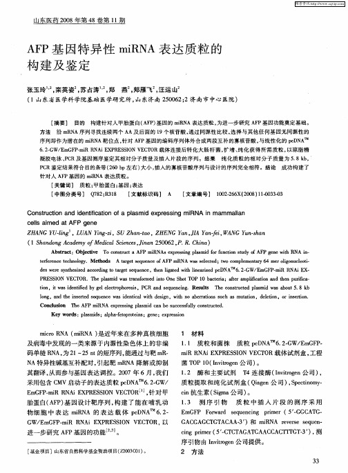 AFP基因特异性miRNA表达质粒的构建及鉴定