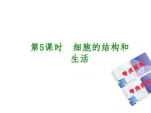 北京专版中考生物复习方案主题三生物体的结构层次第5