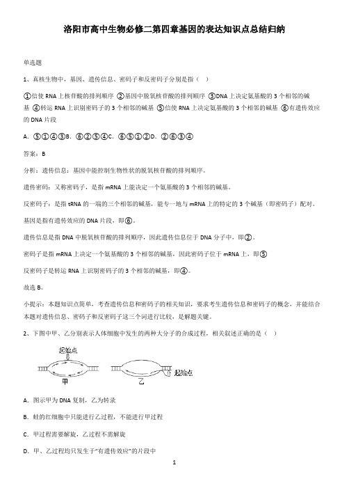 洛阳市高中生物必修二第四章基因的表达知识点总结归纳