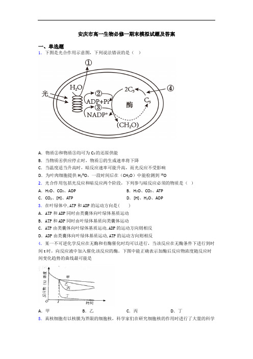 安庆市高一生物必修一期末模拟试题及答案