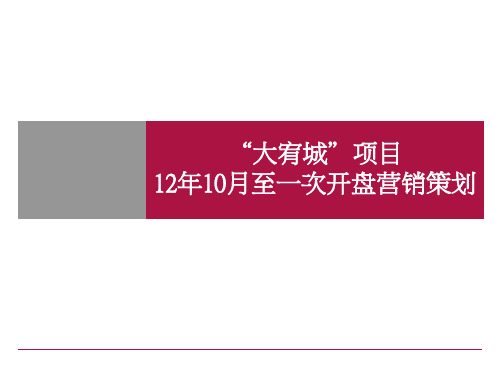 “金领时代”2019年10月至一次开盘营销策划65p