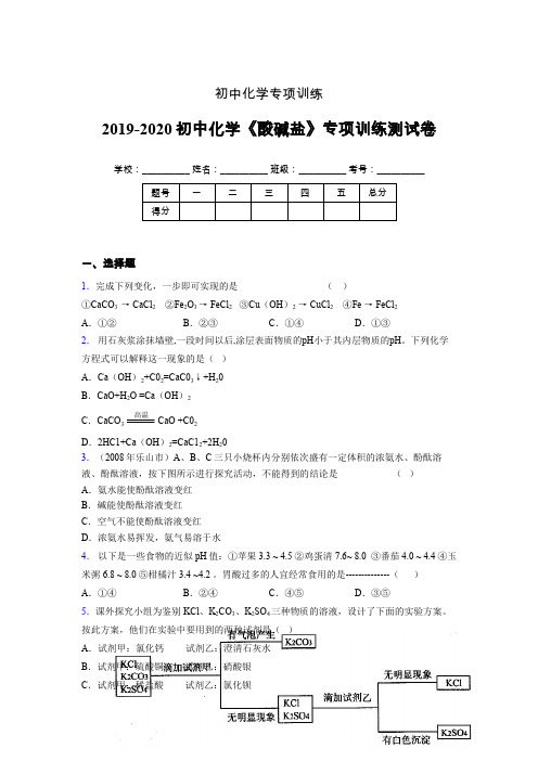 2019-2020学年初中化学《酸碱盐》专项训练模拟测试(含答案) (233)