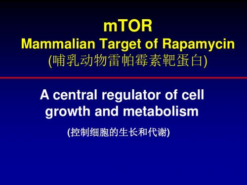 mTOR抑制剂在癌症治疗中的应用