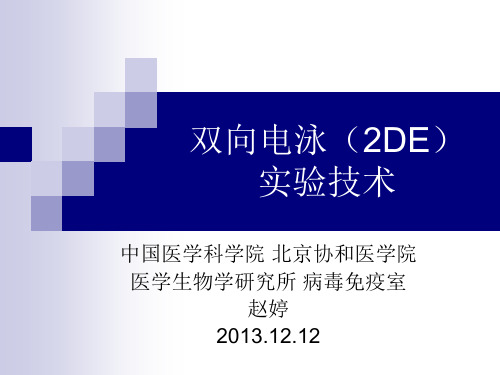 2013.12.12 实验 蛋白质组学实验技术相关理论介绍(一)双向电泳(2DE)实验技术