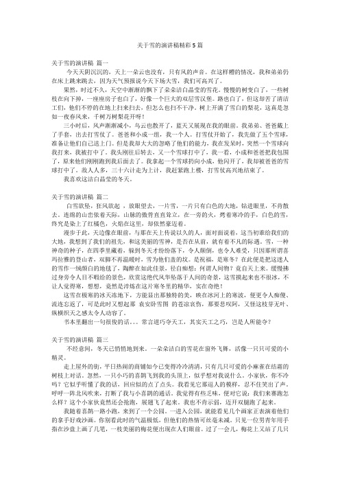 关于雪的演讲稿精彩5篇