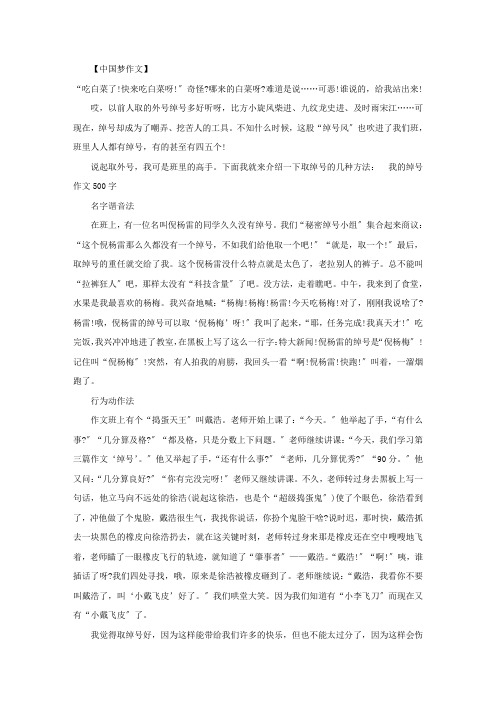 我的绰号作文500字精选