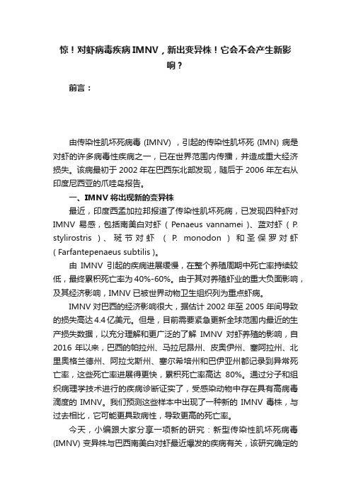 惊！对虾病毒疾病IMNV，新出变异株！它会不会产生新影响？