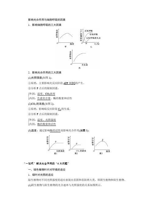 影响光合作用与细胞呼吸的因素