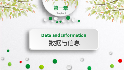 数据与大数据  课件 2022—2023学年浙教版(2019))高中信息技术必修1