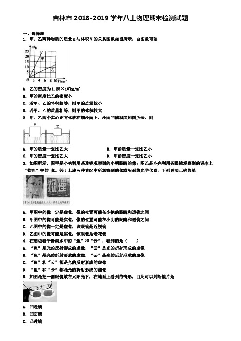 吉林市2018-2019学年八上物理期末检测试题