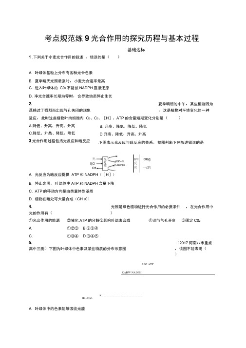 2019高三生物人教版一轮考点规范练：第3单元细胞的能量供应和利用9Word版含解析