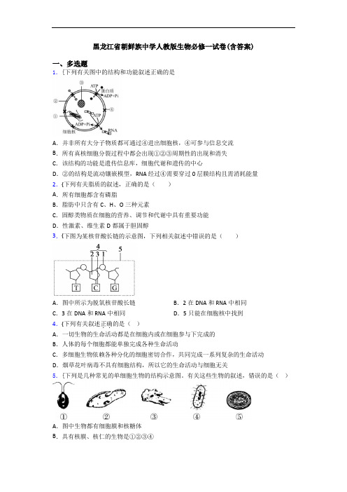 黑龙江省朝鲜族中学人教版生物必修一试卷(含答案)