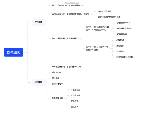 群体进化思维导图-高清简单脑图模板-知犀思维导图