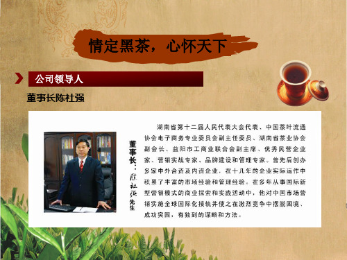 公司介绍严总课件