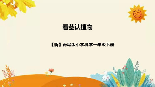 【新】青岛版小学科学一年级下册第三单元第四课时《看茎认植物》附反思含板书设计