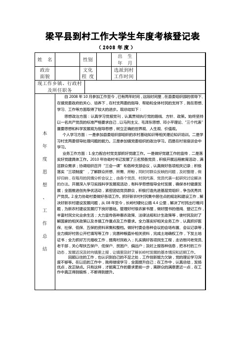 年度村官考核表