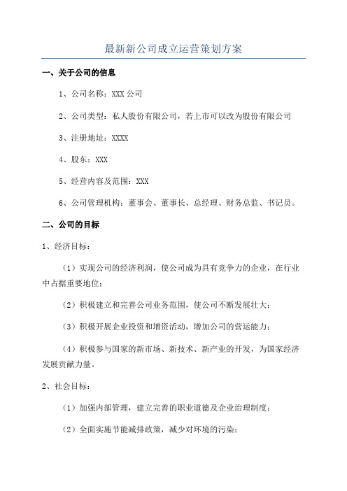 最新新公司成立运营策划方案