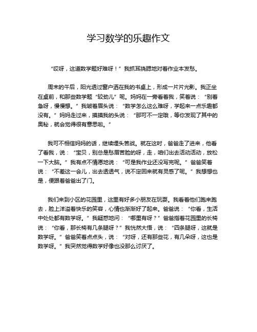 学习数学的乐趣作文