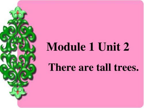 2019秋外研版(一起)五上Module 1《Unit 2 There are tall trees now》pt课件3-教育资料-教育资料