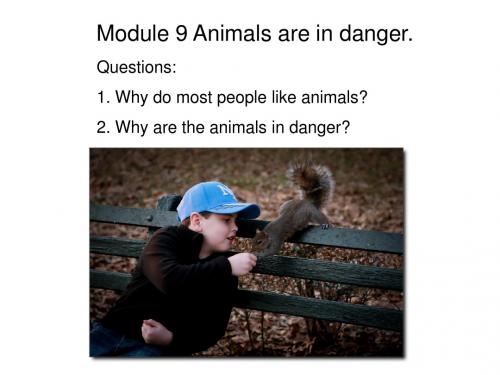 C初二上Module9Animals in danger-Unit2