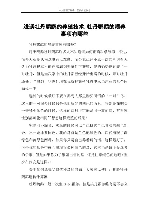 浅谈牡丹鹦鹉的养殖技术,牡丹鹦鹉的喂养事项有哪些