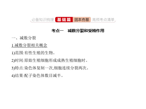 新高考一轮通用版专题九遗传的细胞基础课件