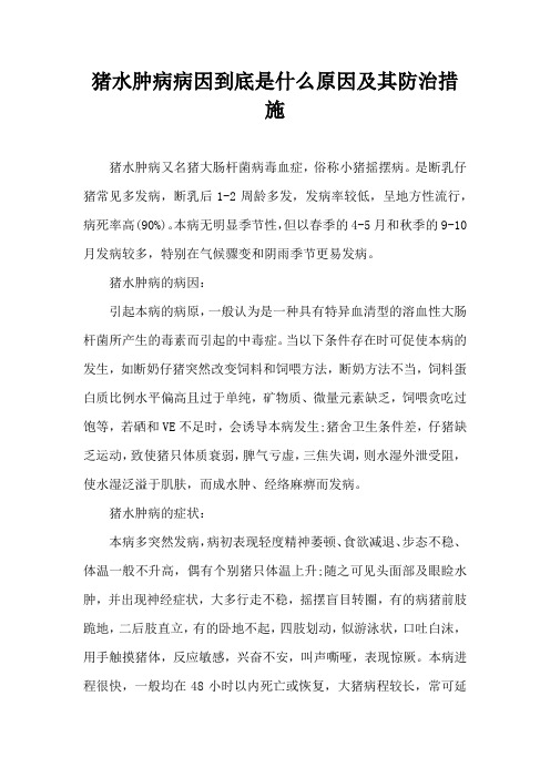 猪水肿病病因到底是什么原因及其防治措施