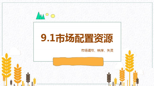 高中政治人教版必修一经济生活9.1市场配置资源PPT(共27页)