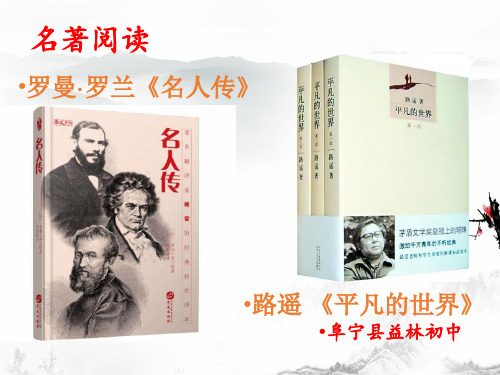 名著阅读《名人传》平凡的世界ppt课件(106张PPT)