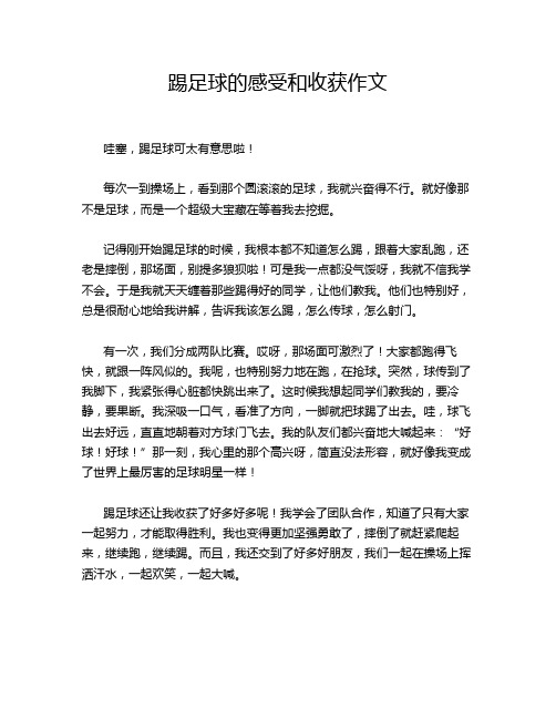 踢足球的感受和收获作文