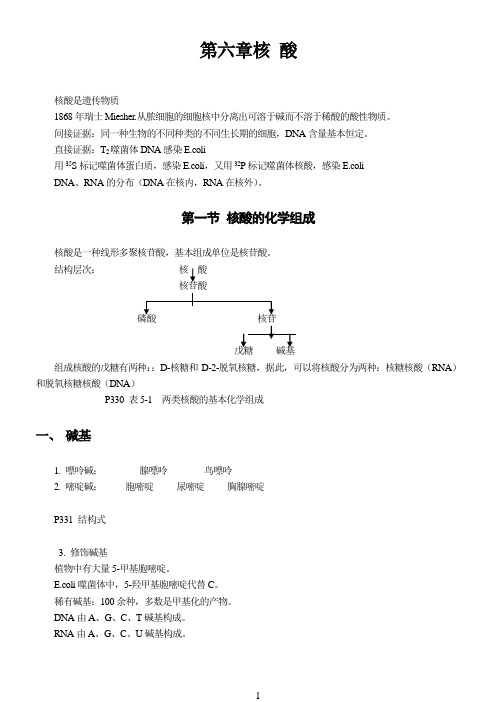 【考研必备】王镜岩生物化学笔记 第六章 核酸