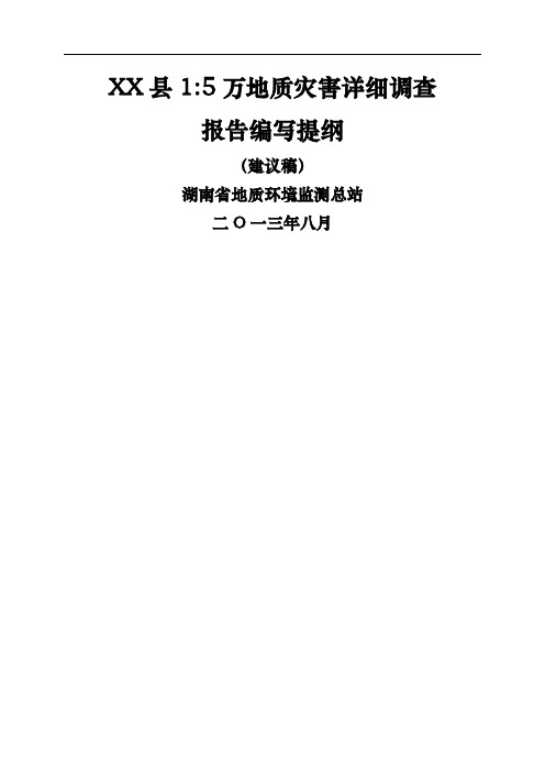 湖南省：5万地质灾害详细调查报告(模板)