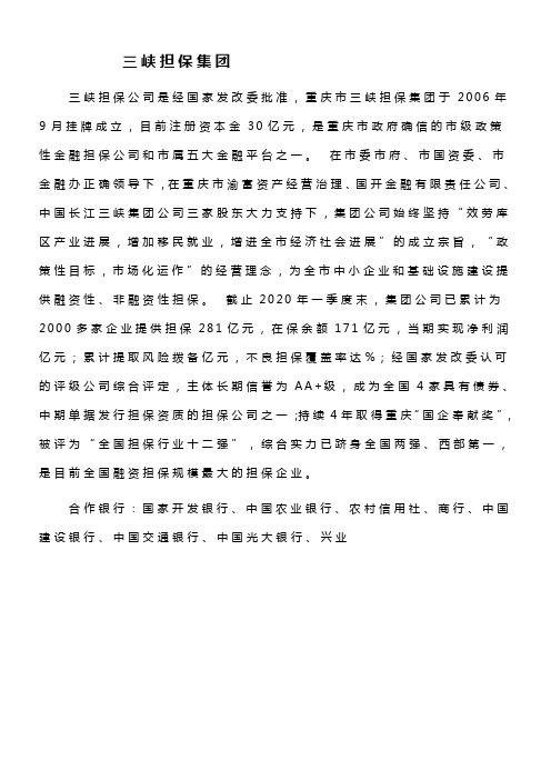 重庆出名的担保公司