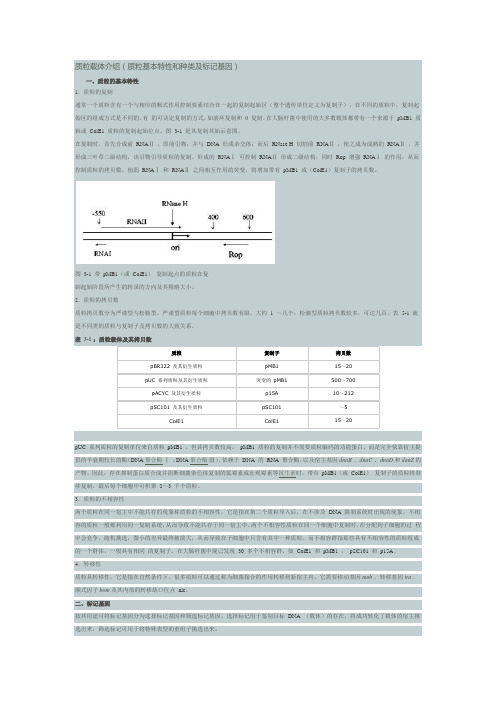 质粒载体介绍