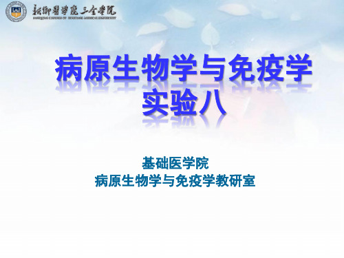 2019级本护实验八 疟原虫、刚地弓形虫ppt